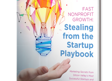 Fast Nonprofit Growth: Stealing From The Startups