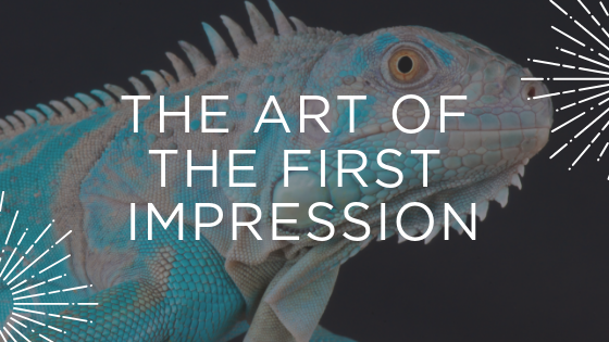 Picture of iguana and title of the webinar - the art of first the first impression